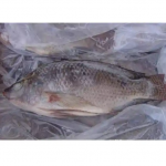 Poisson tilapia congelé tilapia noir par tonne Livraison gratuite