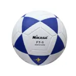 Ballon de football professionnel