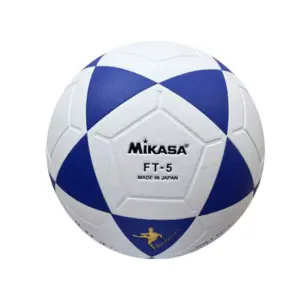 Ballon de football professionnel