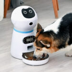 Distributeur Automatique de Croquettes pour Chien et Chat – Gamelle en Inox